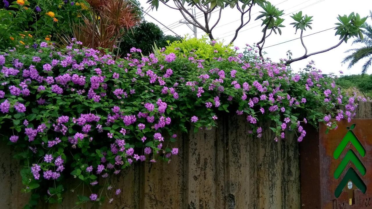 有棵樹特色民宿the Tree Hằng Xuân Cổ Trấn Ngoại thất bức ảnh